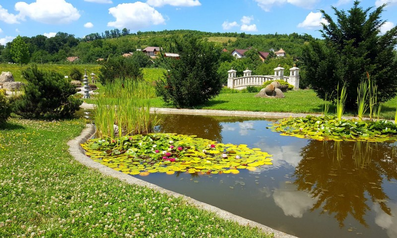 Excursie la Grădina Botanică Jibou Excursie la Grădina Botanică Jibou